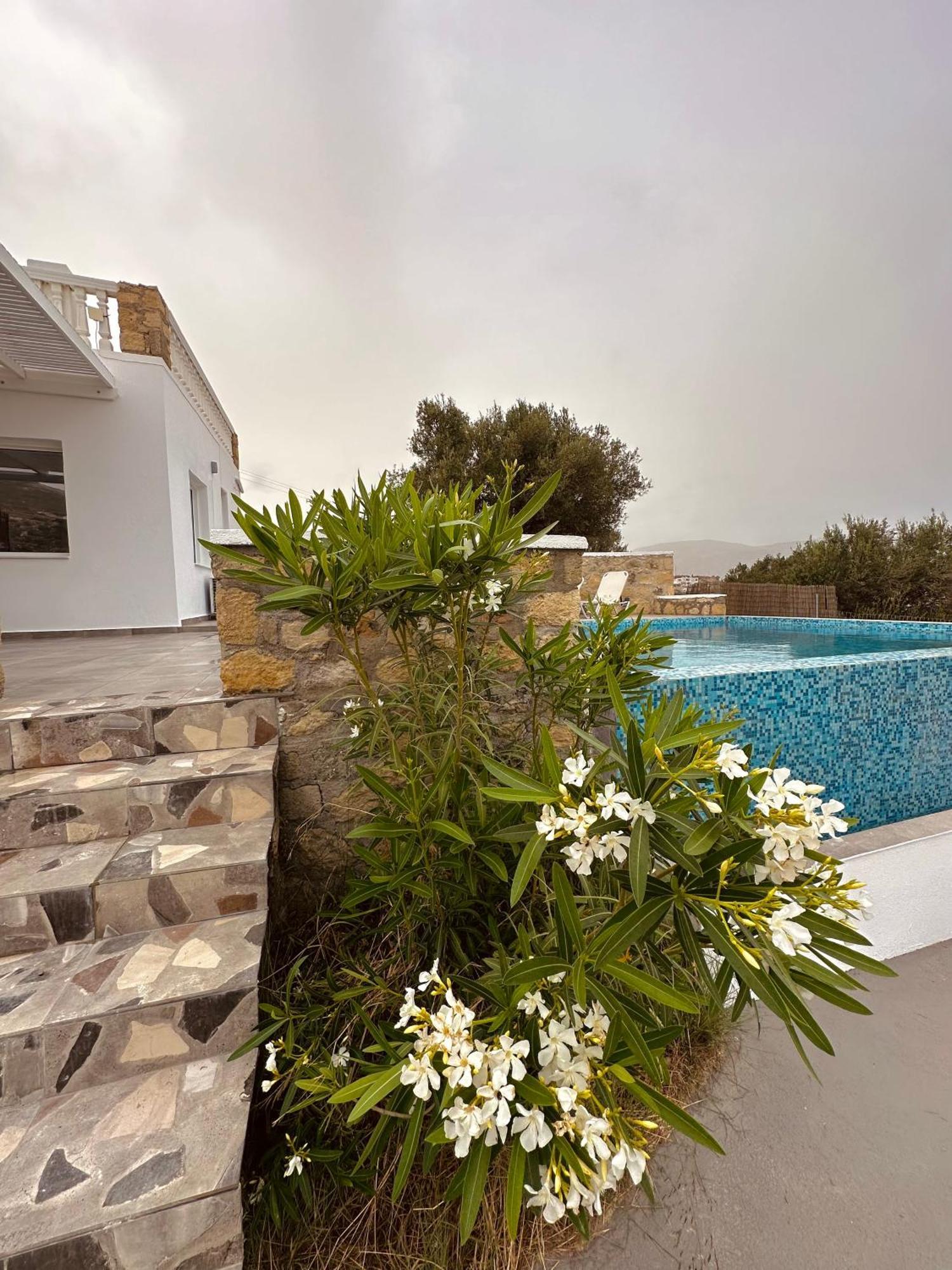 Eleon Luxury *